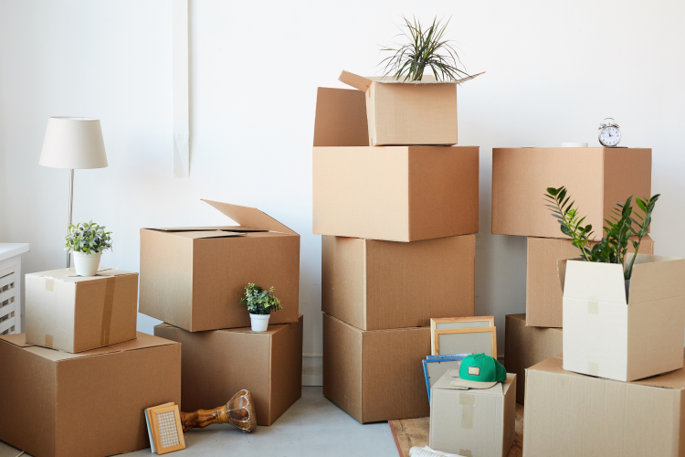 boxes